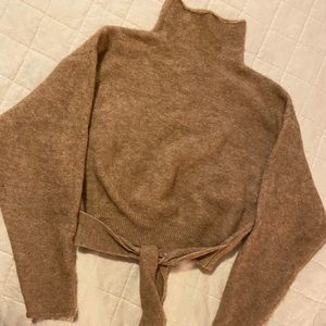 Aritzia cropped sweater